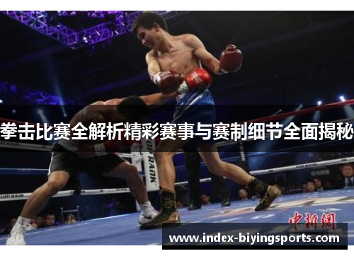 拳击比赛全解析精彩赛事与赛制细节全面揭秘