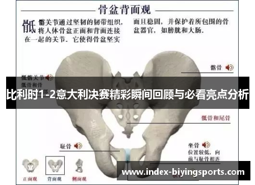 比利时1-2意大利决赛精彩瞬间回顾与必看亮点分析