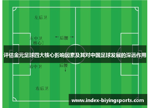 评估金元足球四大核心影响因素及其对中国足球发展的深远作用