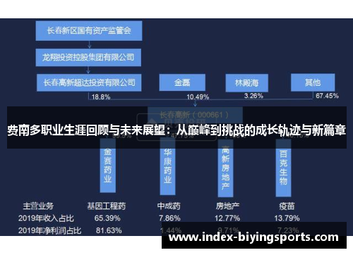 费南多职业生涯回顾与未来展望：从巅峰到挑战的成长轨迹与新篇章