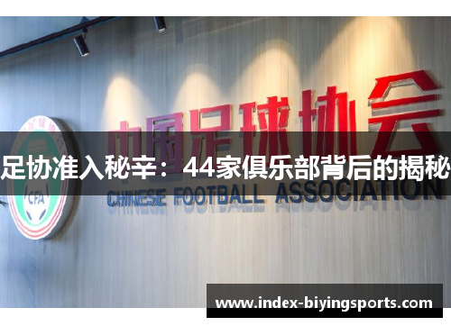 足协准入秘辛：44家俱乐部背后的揭秘