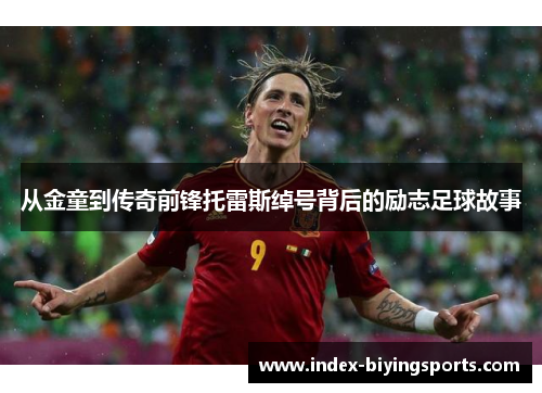 从金童到传奇前锋托雷斯绰号背后的励志足球故事